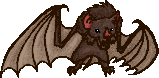 Bat