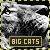Big Cats