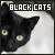 Black Cats