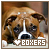 Boxers