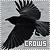 Crows