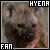 Hyenas