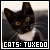 Tuxedo Cats