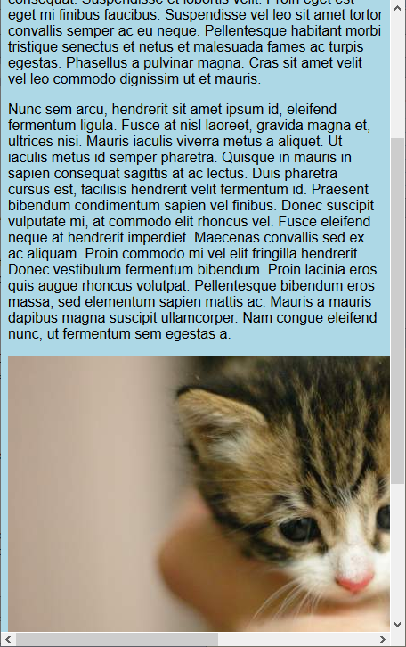 The page image overflowing the window width