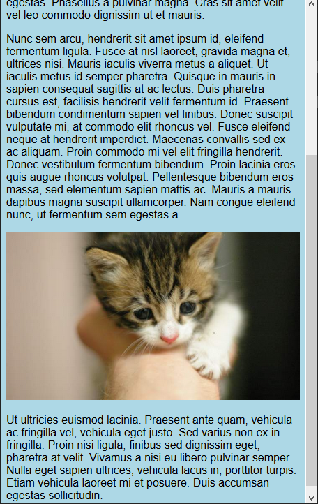 The page with properly scaled images
