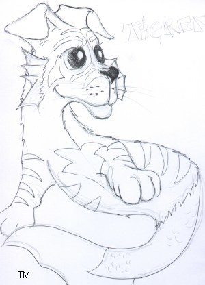 Poll design 3