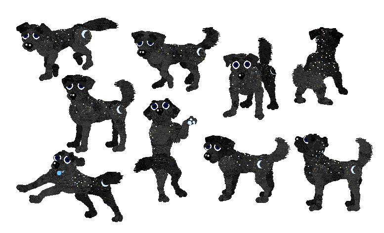 2017 Dog