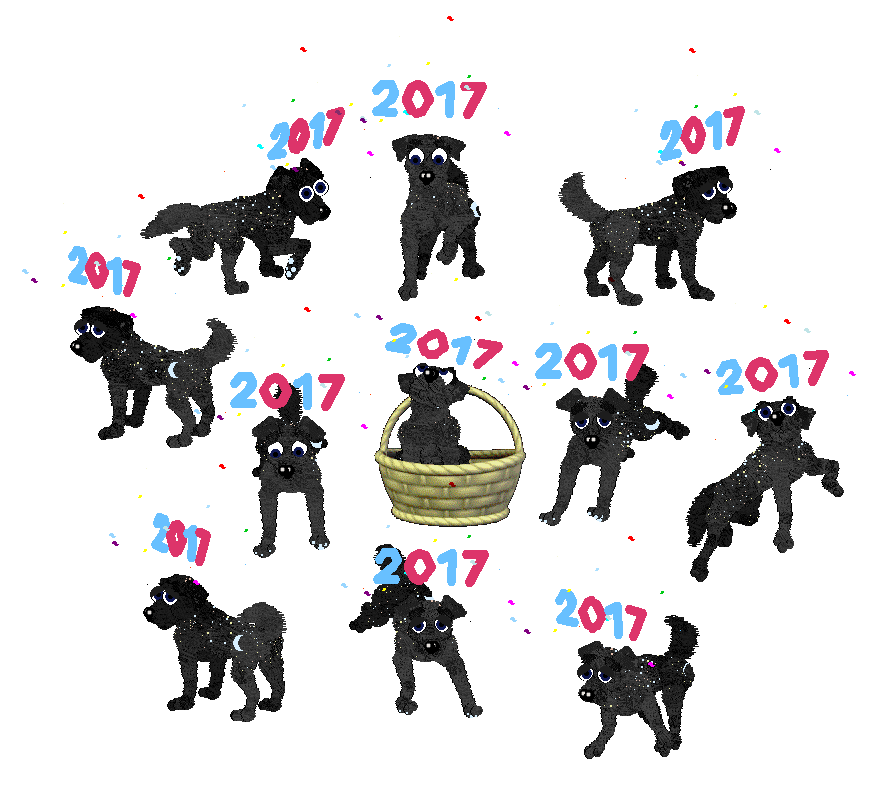 2017 Dog with banner