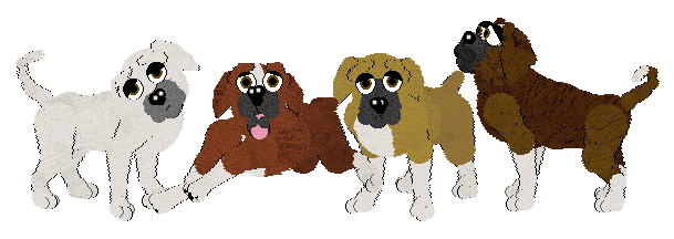 Boxer dog