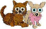 Chihuahua and Tabby from Petz