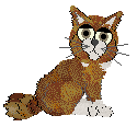 Maine Coon cat from the Petz games