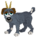 A mutt with horns and a steel blue coat.