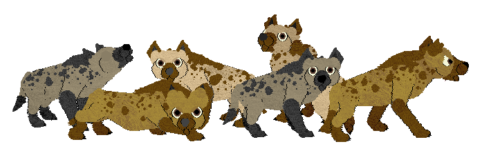 Spotted hyena